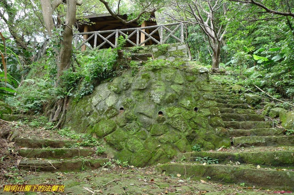 P1000437.jpg