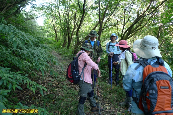 P1000763.jpg