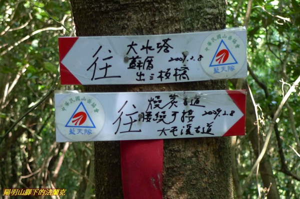 P1000800.jpg