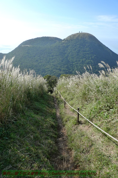 P1000149.jpg