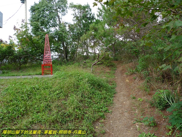 P1010079.jpg
