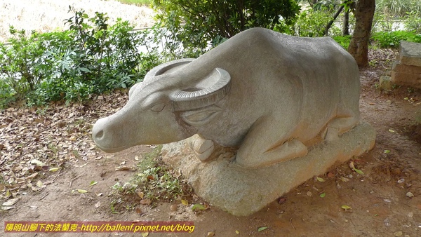 P1010985.jpg P1010985.jpg