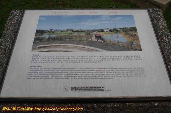P1010995.jpg