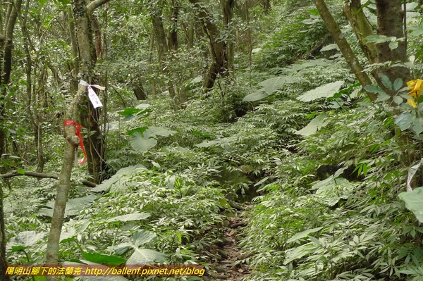 P1020032.jpg P1020032.jpg