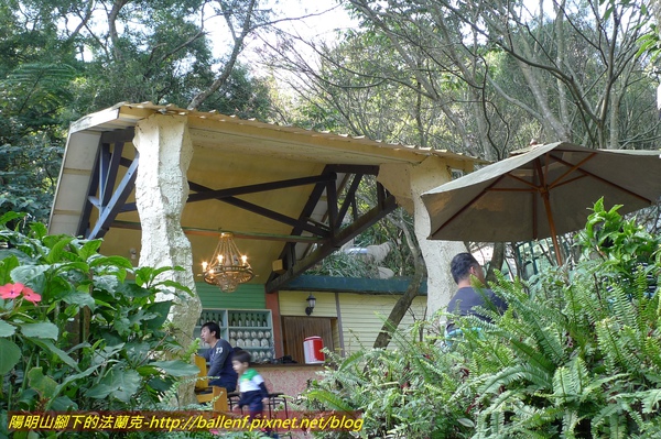 P1000548.jpg