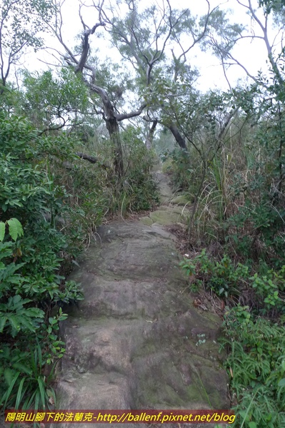 P1000629.jpg
