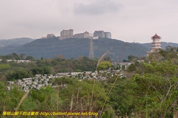 P1010083.jpg
