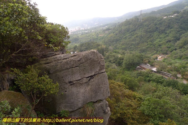 P1010117.jpg