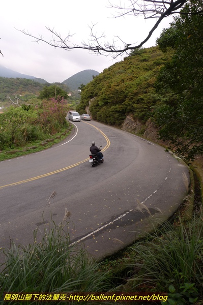 P1010121.jpg