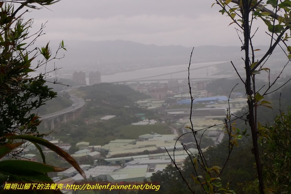 P1010180.jpg