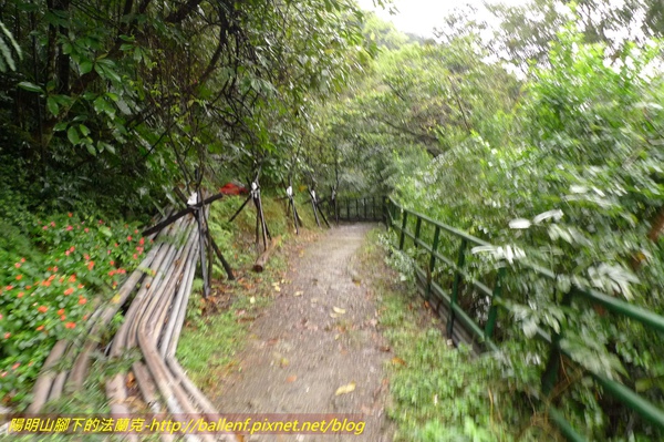 P1010278.jpg