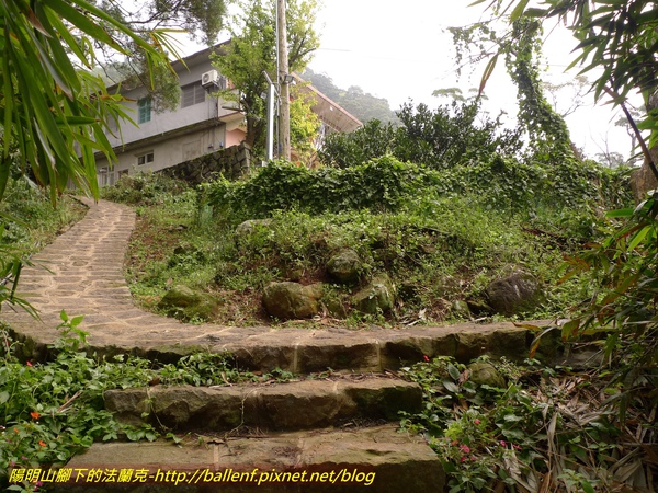 P1010728.jpg