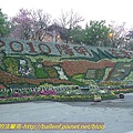 P1020184-1.jpg