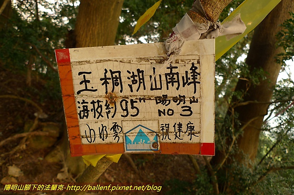 P1020284.jpg