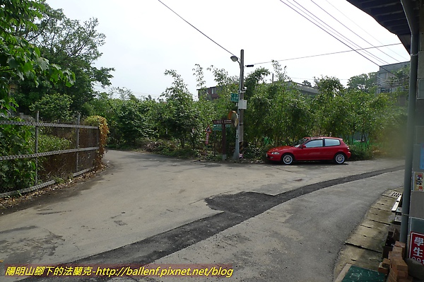 P1030404.jpg