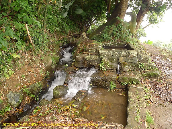P1030482.jpg