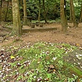P1040255.jpg