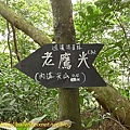 P1040274.jpg