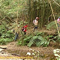 P1040277.jpg