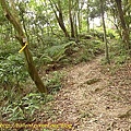 P1040282.jpg