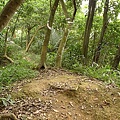 P1040284.jpg