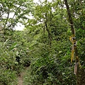 P1040285.jpg