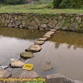 P1040294.jpg
