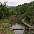 P1040299.jpg