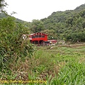 P1040306.jpg