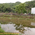 P1040307.jpg