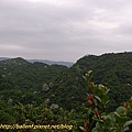 P1040320.jpg