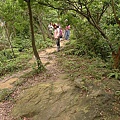 P1040323.jpg