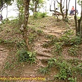 P1040325.jpg