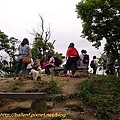 P1040326.jpg
