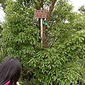 P1040327.jpg