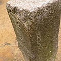 P1040327-1.jpg