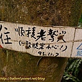 P1040339.jpg