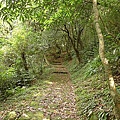 P1040507.jpg