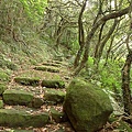 P1040508.jpg