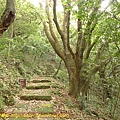 P1040510.jpg