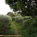 P1040520.jpg