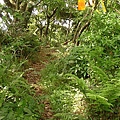 P1040540.jpg
