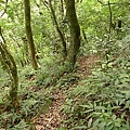 P1040543.jpg