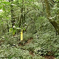 P1040544.jpg