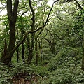 P1040545.jpg