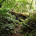 P1040555.jpg
