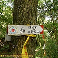 P1040558.jpg