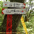 P1040560.jpg