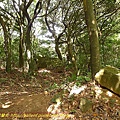 P1040562.jpg
