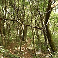 P1040563.jpg